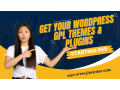 wordpress-themes-plugins-starting-rs99-only-small-0