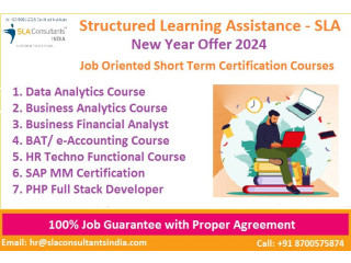 Accounting Coaching in Delhi, 2024 Offer 100% Placement in MNC, [100% Job, Update New Skill in '24] GST Portal Practical Certification Course,
