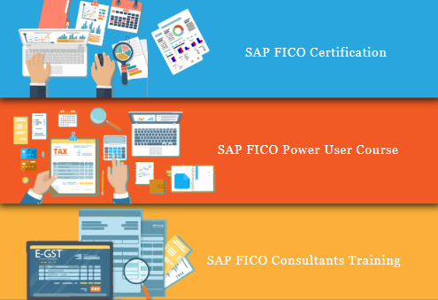 sap-fico-training-in-delhi-preet-vihar-sla-sap-learning-tutorial-learning-sap-hana-finance-certification-course-big-0