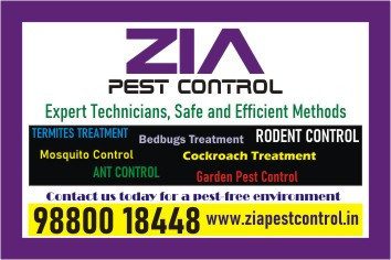 zia-pest-control-cockroach-service-cost-rs-1000-only-1799-big-0