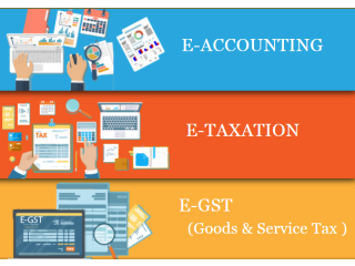 E-Accounting Course in Delhi, 110006 , SAP FICO Course in Noida । BAT Course by SLA Accounting Institute, Taxation