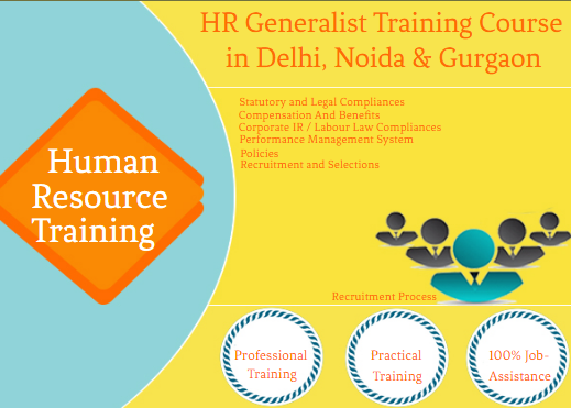 advanced-hr-certification-course-in-delhi-110018-with-free-sap-hcm-hr-certification-by-sla-consultants-institute-in-delhi-ncr-big-0