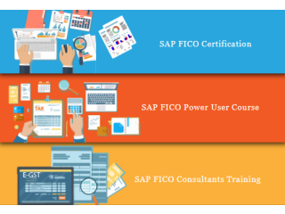 Best SAP FICO Certification Course in Delhi, Ashram, Free SAP Server Access, 100% Job Placement, Navratri Offer '23